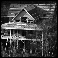 Stacks Image 49